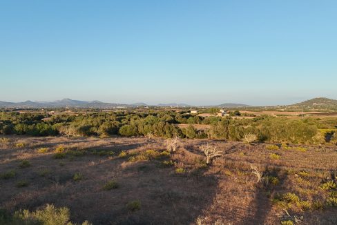 Aussicht Manacor