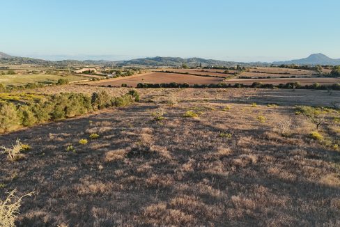 Blick auf die Landschaft