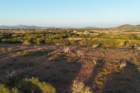 Blick auf Manacor