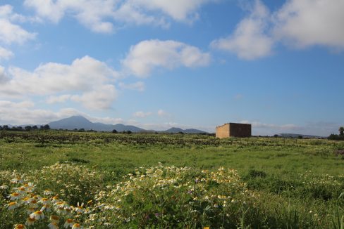Grundstück Blick San Salvador