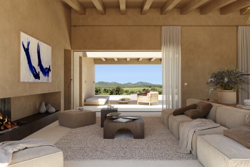 Living area with chimney