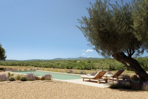 Pool area