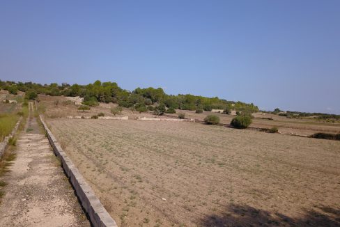 DCIM100MEDIADJI_0143.JPG