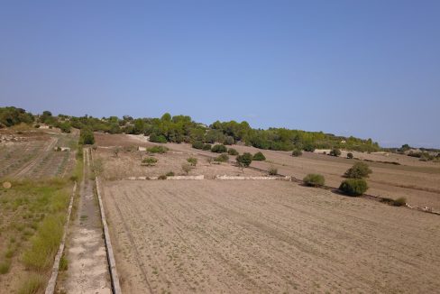 DCIM100MEDIADJI_0144.JPG