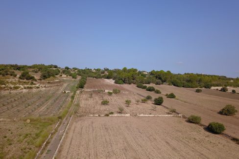 DCIM100MEDIADJI_0145.JPG