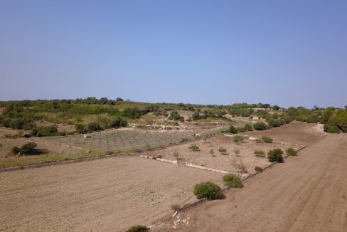 DCIM100MEDIADJI_0149.JPG