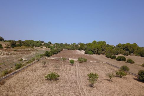 DCIM100MEDIADJI_0160.JPG