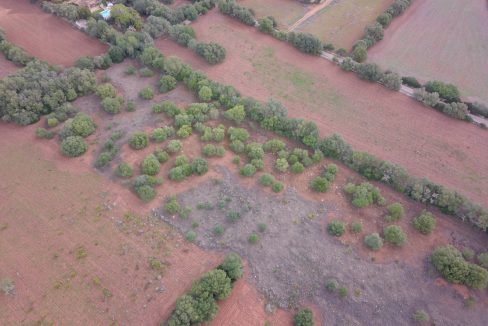 Finca Felanitx