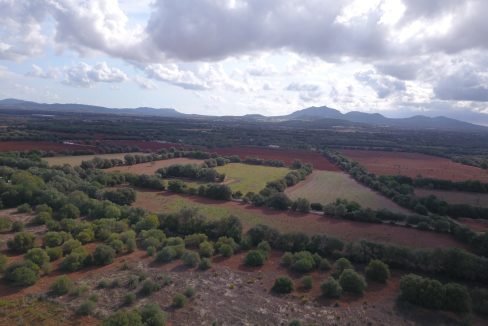 Terreno Felanitx