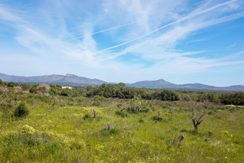 Finca Santa Margalida