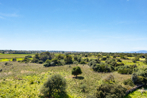 Paisaje rural bajo cielo despejado