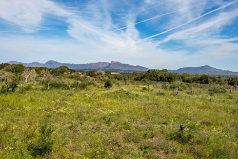 Terreno Santa Margalida
