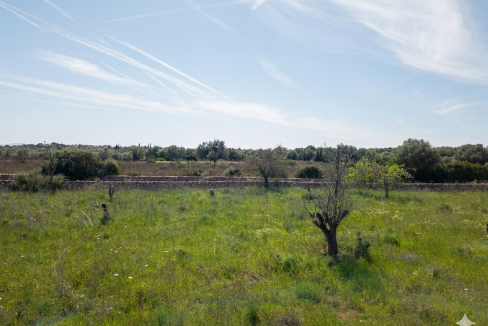 Vistas Santa Margalida
