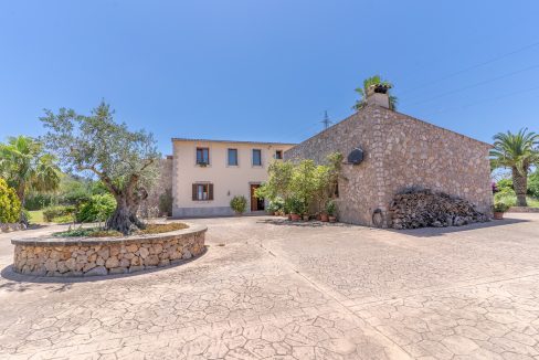 DSC06394